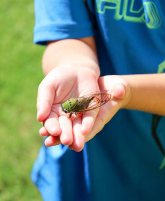 outdoor play