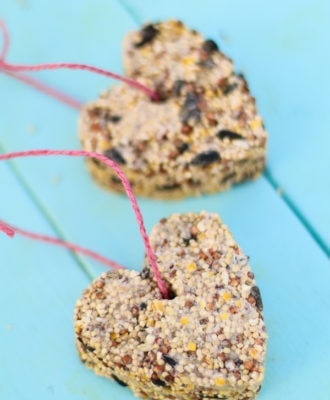 Heart Shaped Bird Seed Favors