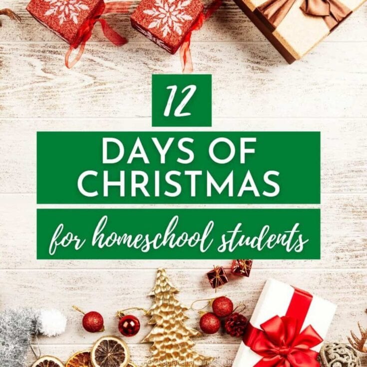 Image for 12 Days of Christmas Activities for Homeschoolers