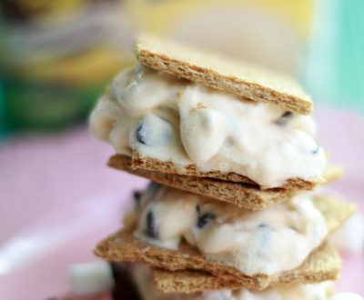 S'more Ice Cream Sandwiches