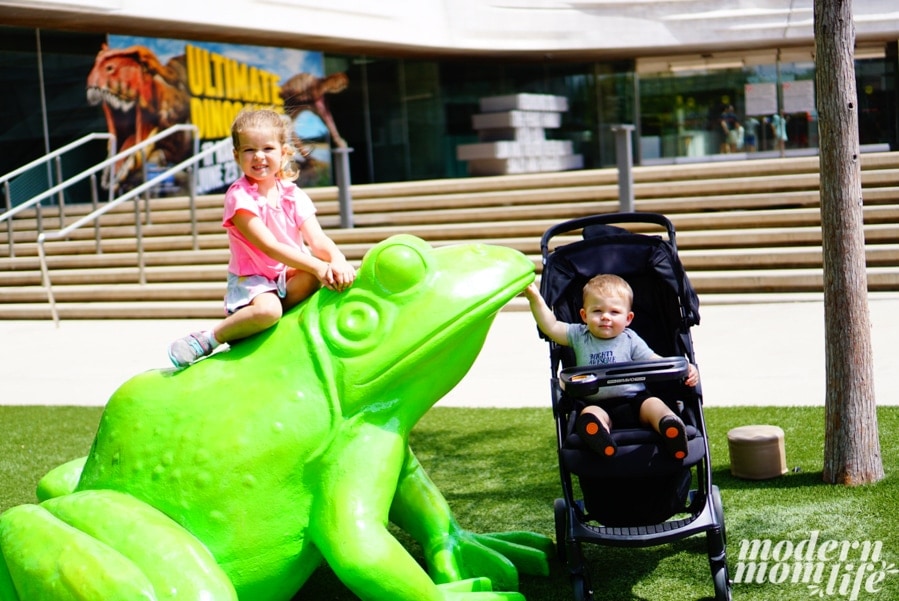 Perot Museum
