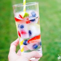 Fruit Ice Cubes
