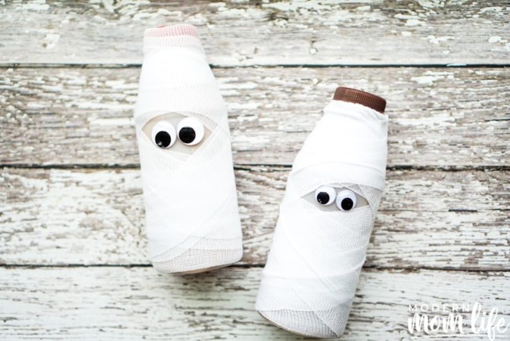 Milk Mummy Craft