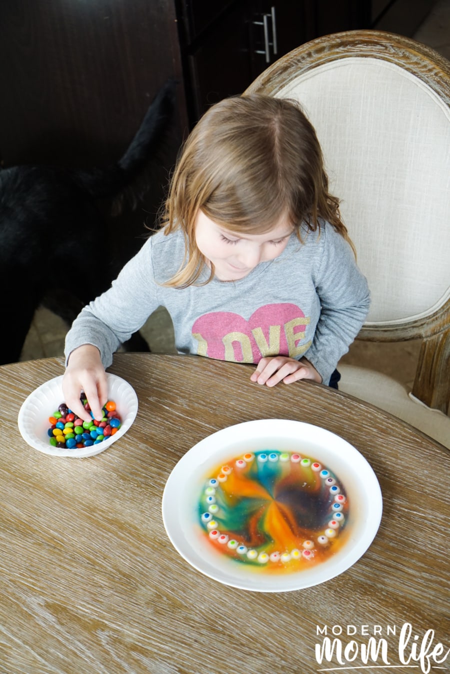 skittles science experiment