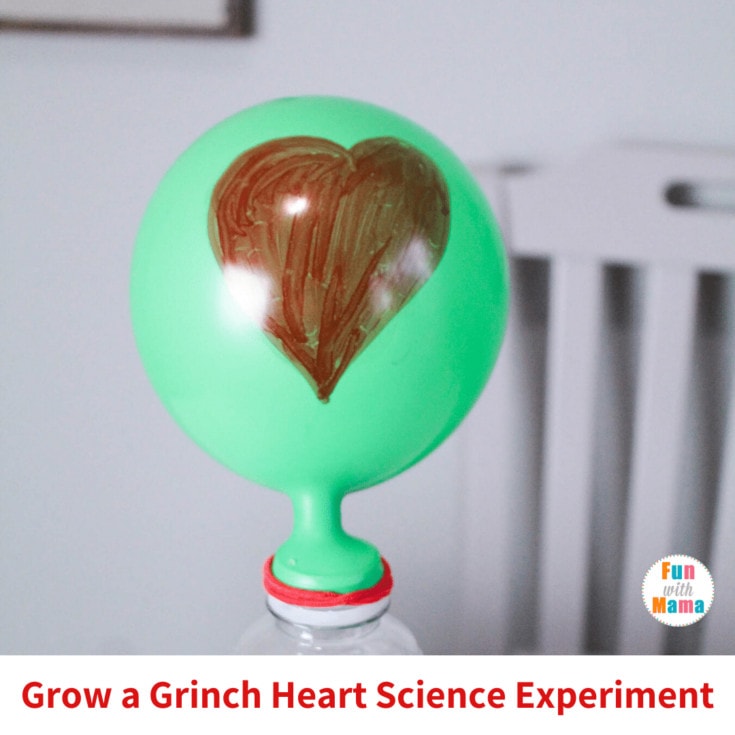 Image for Growing a Grinch Heart Science Experiment