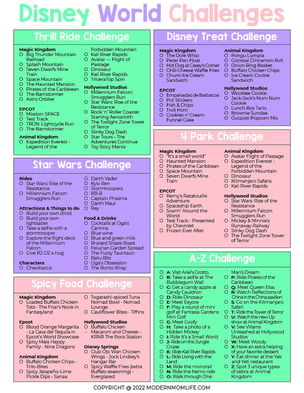 Disney World Challenges