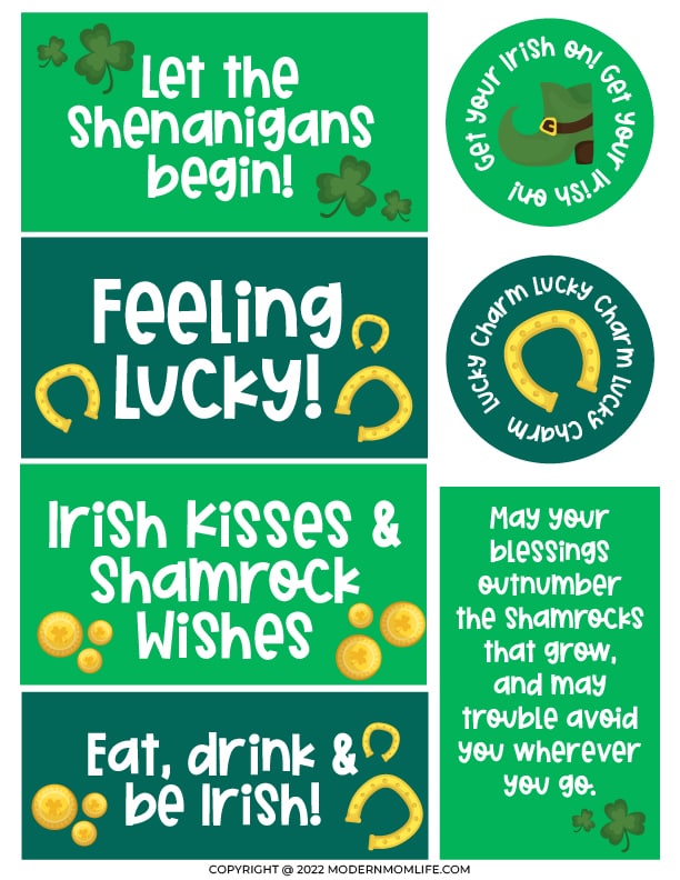 Youve been shamrocked notes