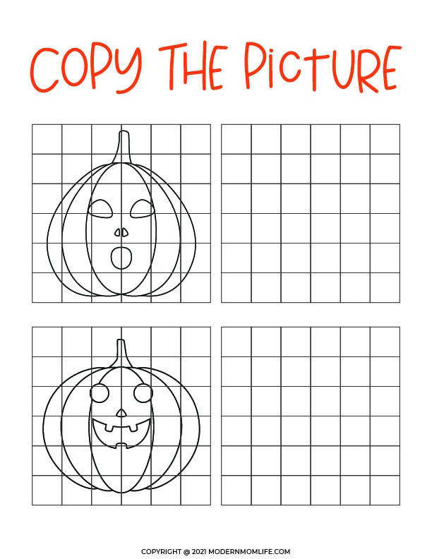 Copy the Picture