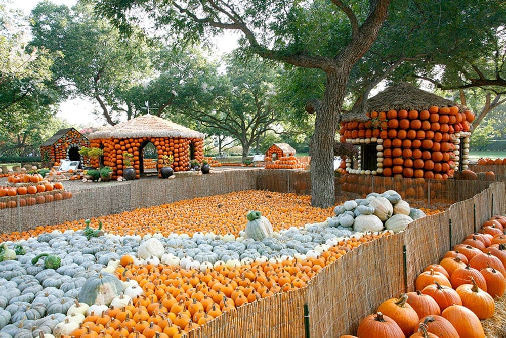 Dallas Arboretum