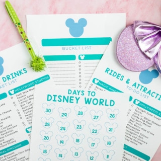 Disney Planner Bundle