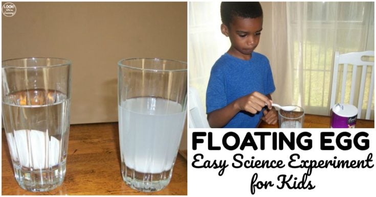 Image for Floating Egg Experiment