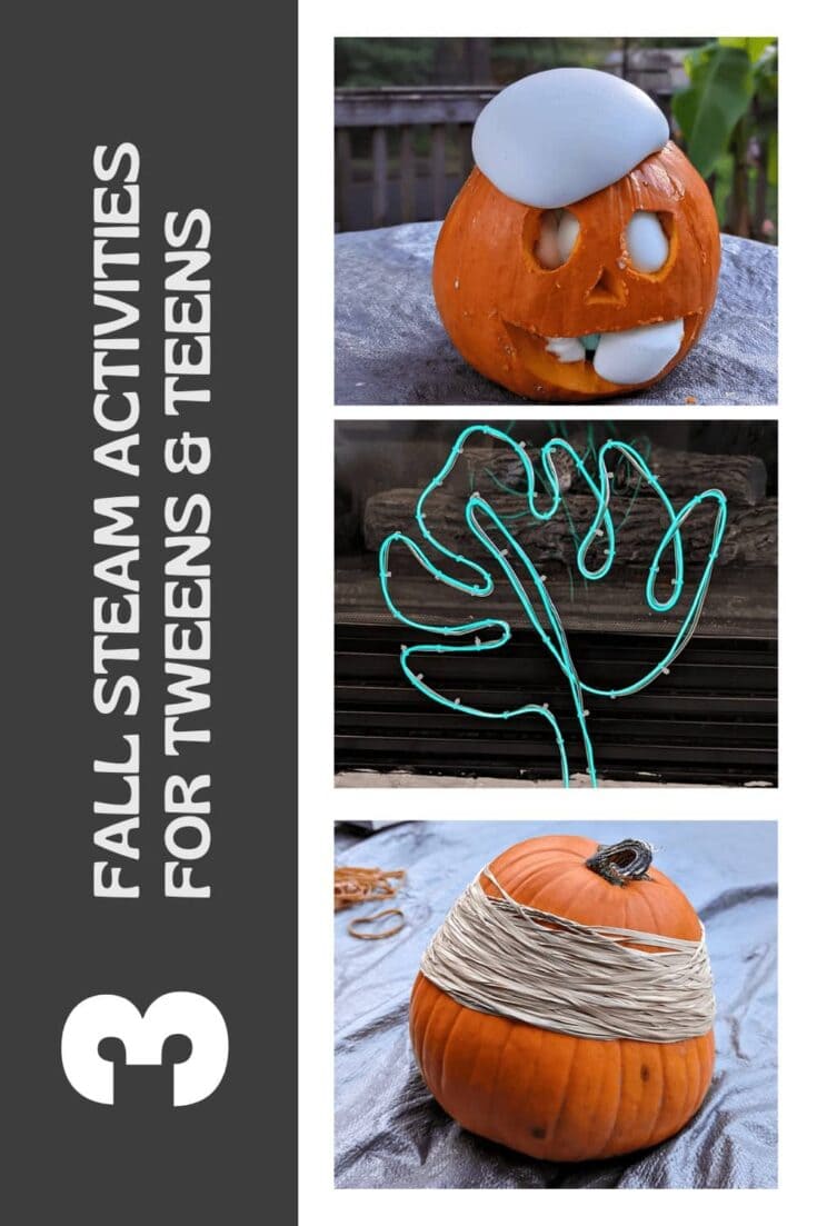 Image for 3 Fall STEAM Activities for Tweens & Teens