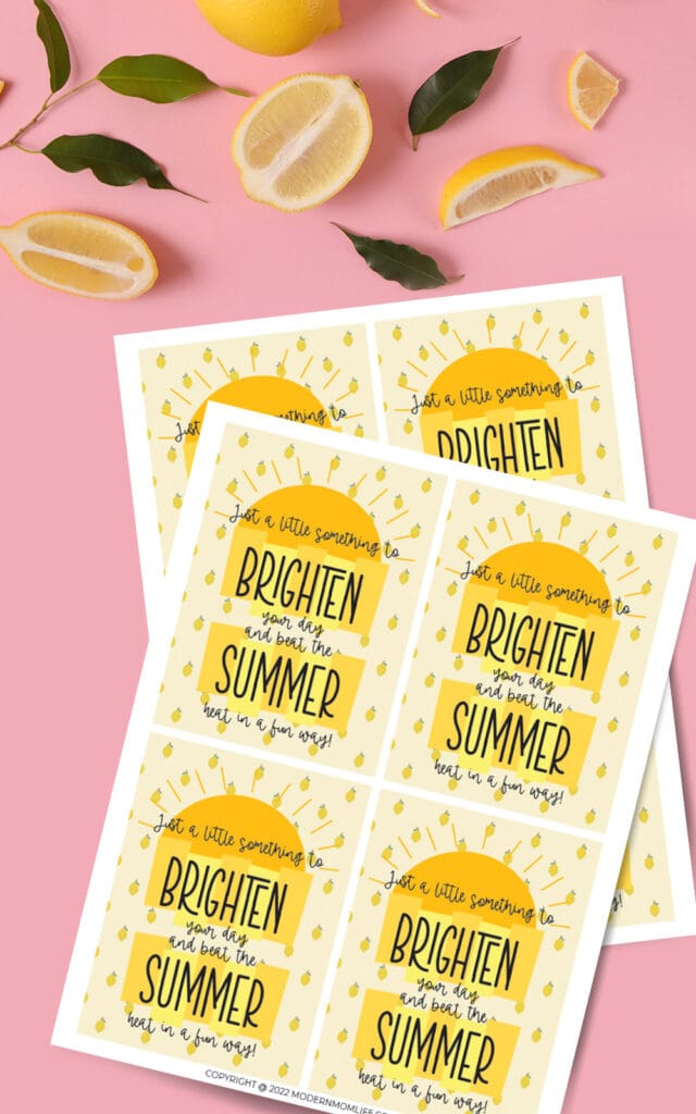 Summer Gift Basket Gift Tag
