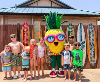 Hawaiian Falls The Colony