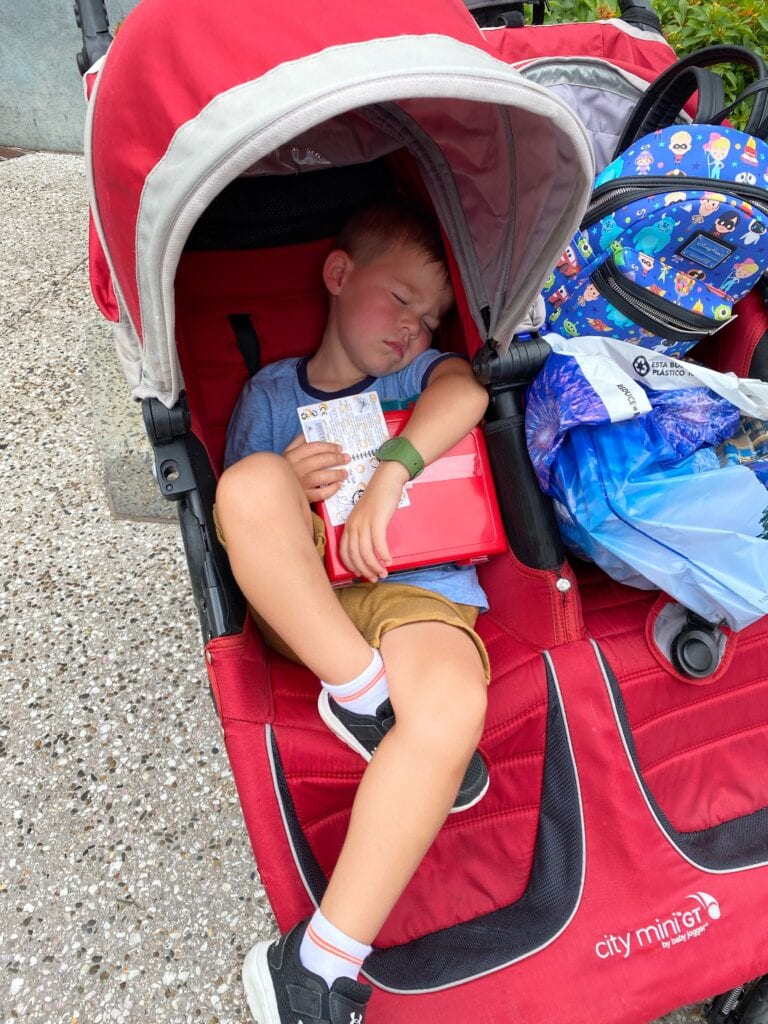 DIsney World Strollers