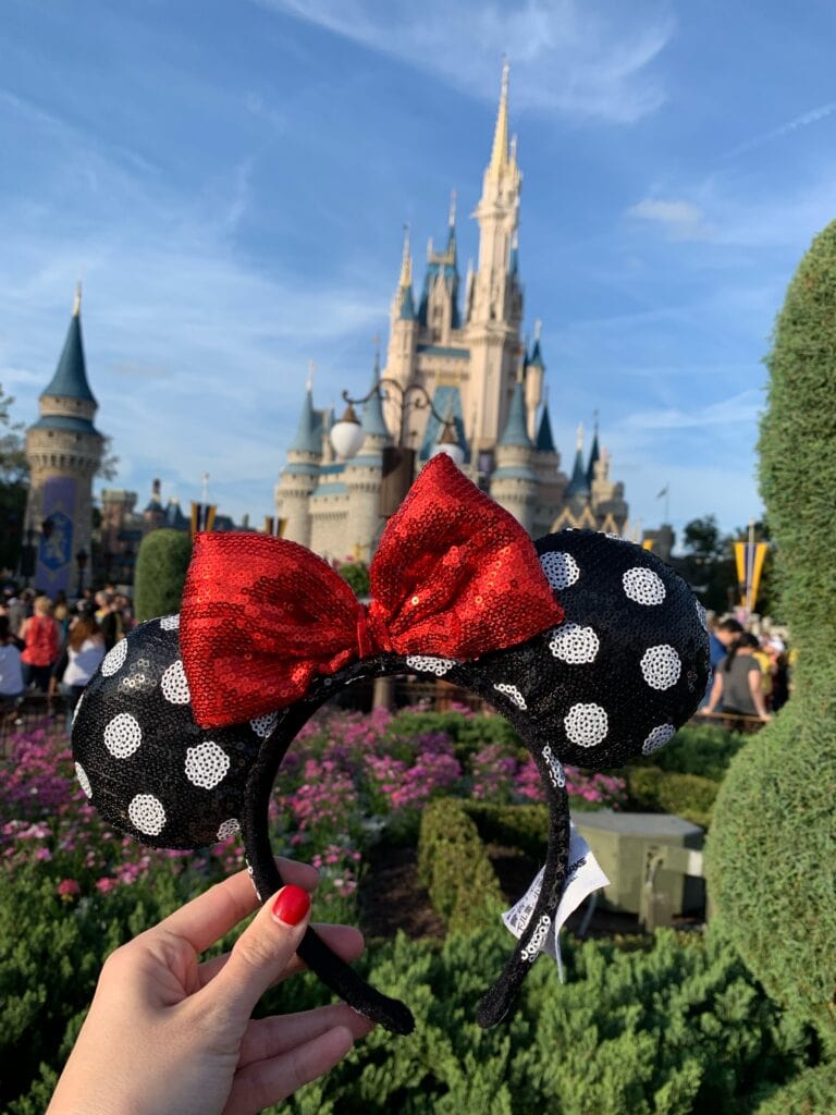 mickey mouse ears