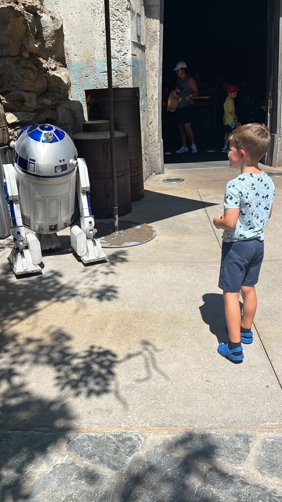 disney world 