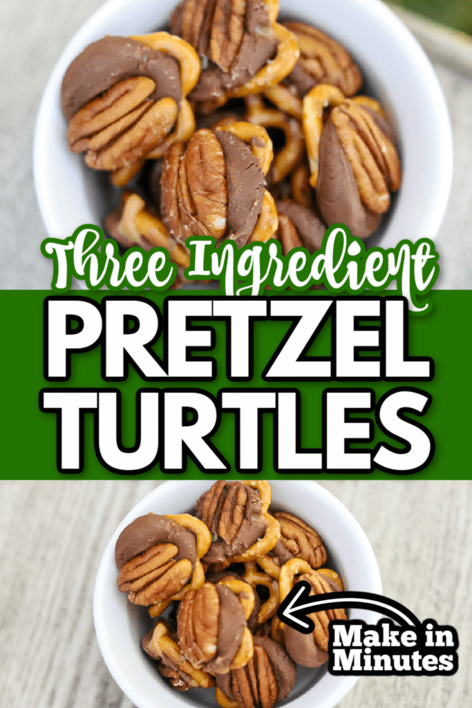 Pretzel Turtles