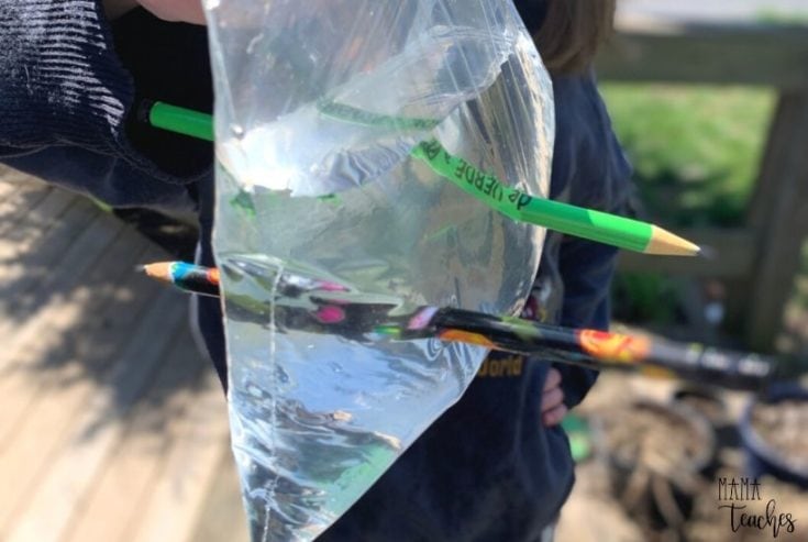Image for Pencil Through a Bag