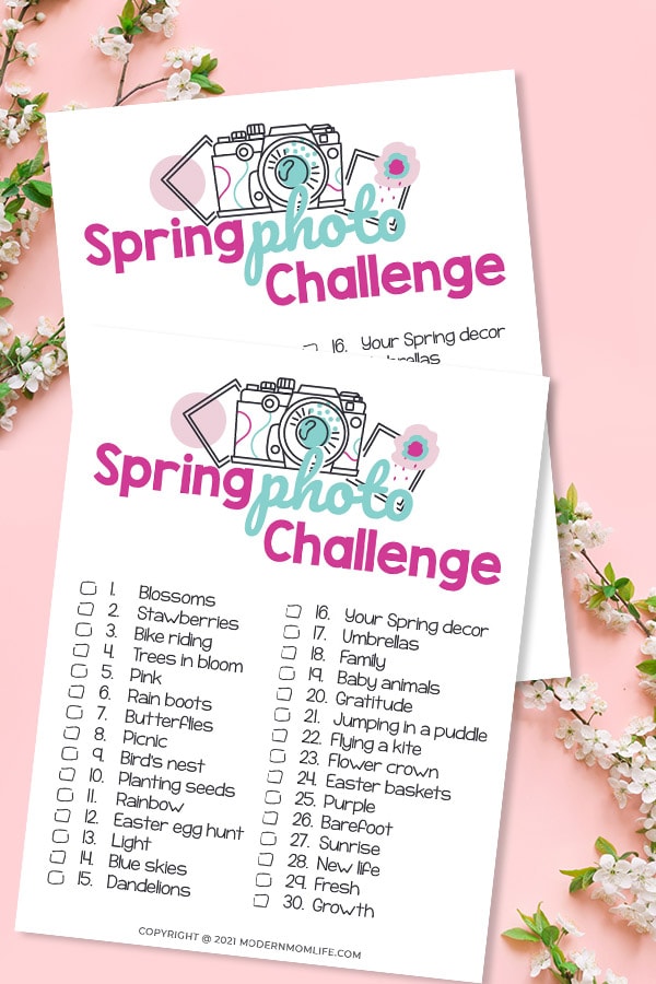 Spring Photo Challenge