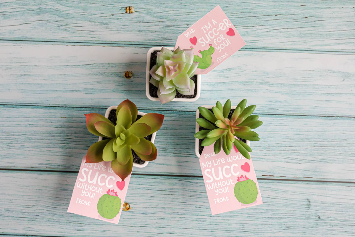 funny-valentine-s-day-succulent-gift-tags-modern-mom-life