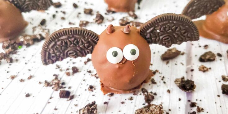 Image for Bat Truffles (For Halloween!)
