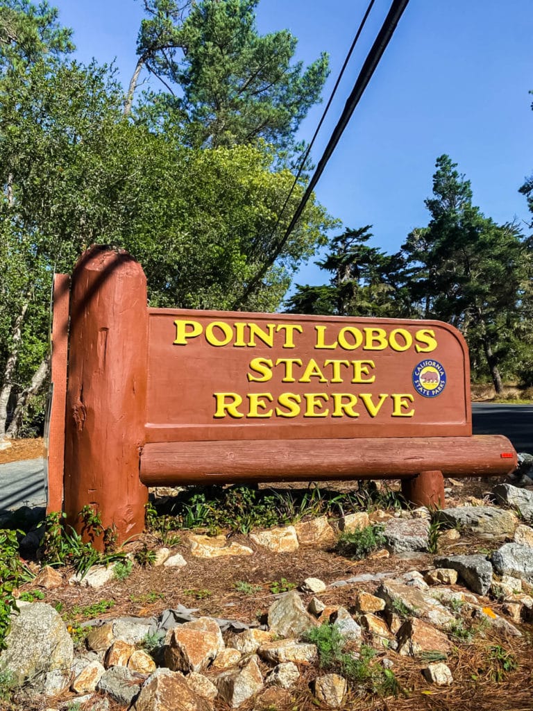 Point Lobos State Reserve