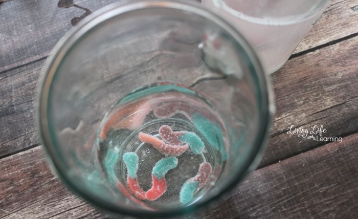 Image for Dancing Worms Activity