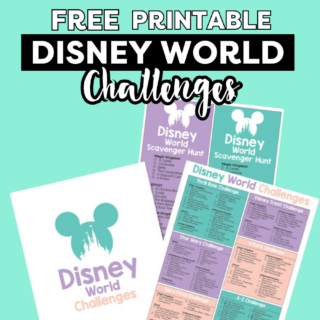disney world challenge