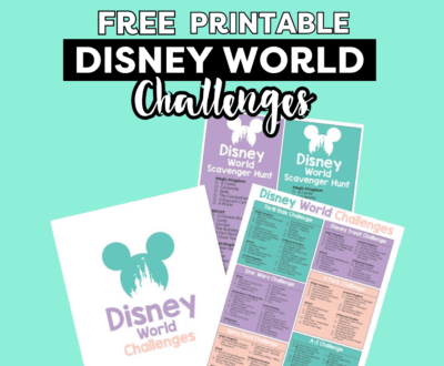 disney world challenge