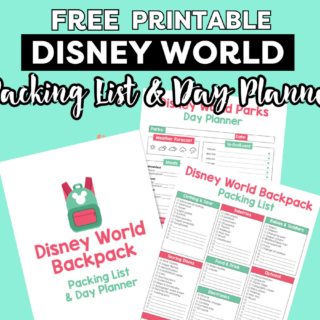 disney world packing list and day planner