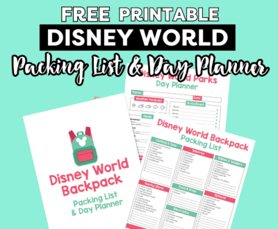 disney world packing list and day planner