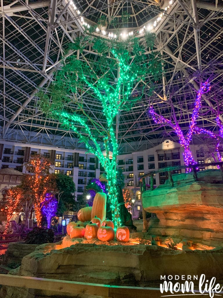 Gaylord Texan Fall Lights