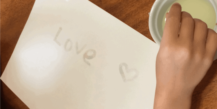 Image for Invisible Ink