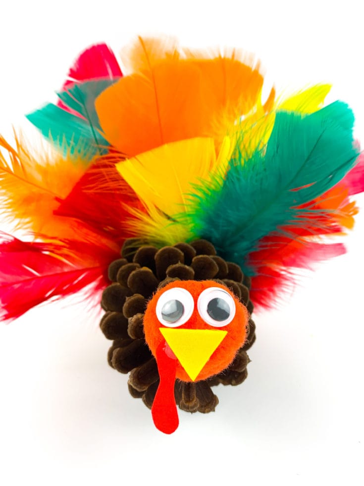 Image for Pine Cone Turkey Craft