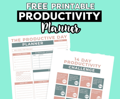 productivity challenge